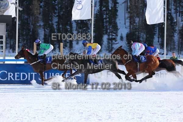 ET0Q0883 prot
